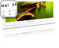 Fotokalender schlichtes Design