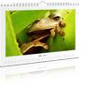 Fotokalender in verschiedenen Ausführungen